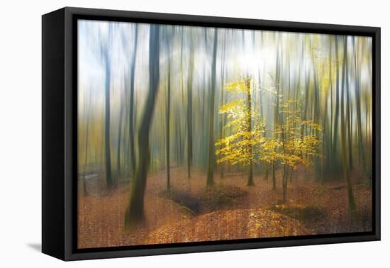 Apparition-Viviane Fedieu Daniel-Framed Premier Image Canvas