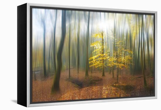 Apparition-Viviane Fedieu Daniel-Framed Premier Image Canvas