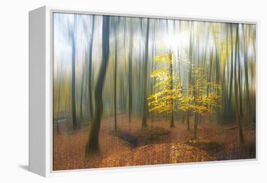 Apparition-Viviane Fedieu Daniel-Framed Premier Image Canvas