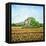 Appia Antica House-Noel Paine-Framed Premier Image Canvas