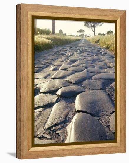 Appia Antica (The Appian Way), Rome, Lazio, Italy-Adam Woolfitt-Framed Premier Image Canvas