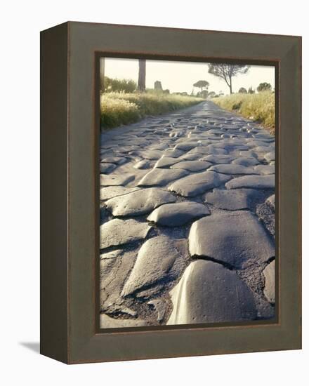 Appia Antica (The Appian Way), Rome, Lazio, Italy-Adam Woolfitt-Framed Premier Image Canvas