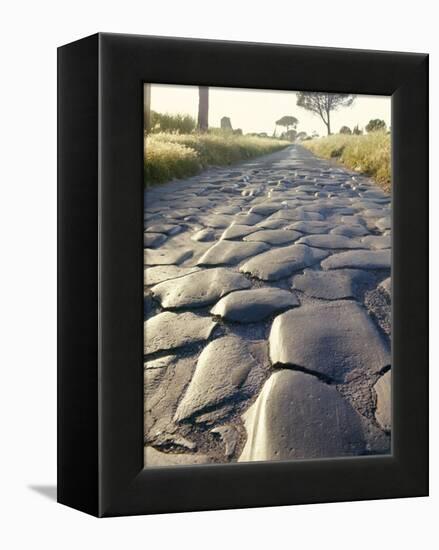 Appia Antica (The Appian Way), Rome, Lazio, Italy-Adam Woolfitt-Framed Premier Image Canvas