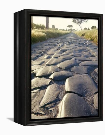 Appia Antica (The Appian Way), Rome, Lazio, Italy-Adam Woolfitt-Framed Premier Image Canvas