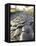 Appia Antica (The Appian Way), Rome, Lazio, Italy-Adam Woolfitt-Framed Premier Image Canvas