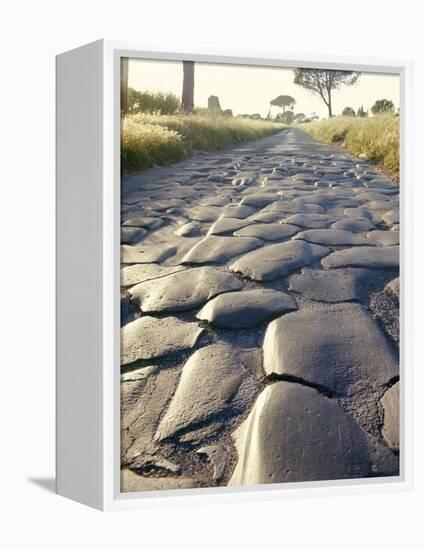 Appia Antica (The Appian Way), Rome, Lazio, Italy-Adam Woolfitt-Framed Premier Image Canvas