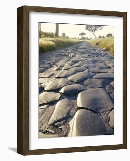 Appia Antica (The Appian Way), Rome, Lazio, Italy-Adam Woolfitt-Framed Photographic Print