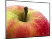 Premium Photographic Print