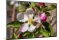 Premium Photographic Print