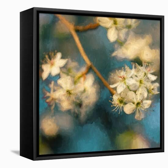 Apple Blossom, 2019,-Helen White-Framed Premier Image Canvas