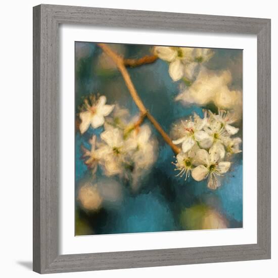 Apple Blossom, 2019,-Helen White-Framed Giclee Print