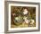 Apple Blossom and a Bird's Nest-H. Barnard Grey-Framed Giclee Print