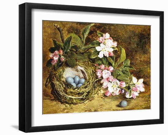 Apple Blossom and a Bird's Nest-H. Barnard Grey-Framed Giclee Print