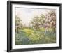 'Apple Blossom and Bluebells' Giclee Print - John Halford Ross | Art.com