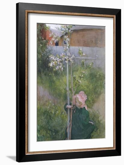 Apple Blossom (Appelblom), 1894-Carl Larsson-Framed Giclee Print