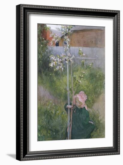 Apple Blossom (Appelblom), 1894-Carl Larsson-Framed Giclee Print