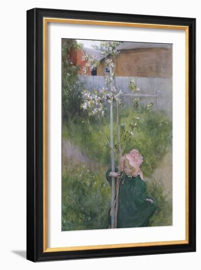 Apple Blossom (Appelblom), 1894-Carl Larsson-Framed Giclee Print