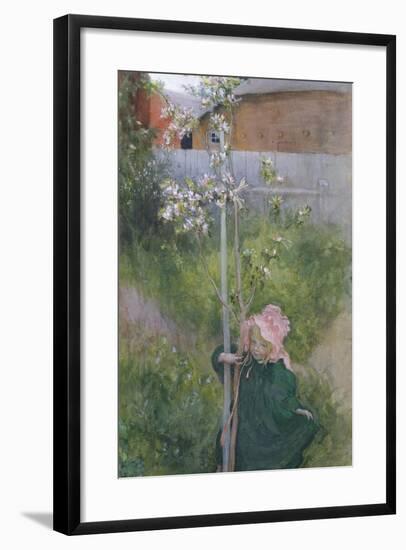 Apple Blossom (Appelblom), 1894-Carl Larsson-Framed Giclee Print