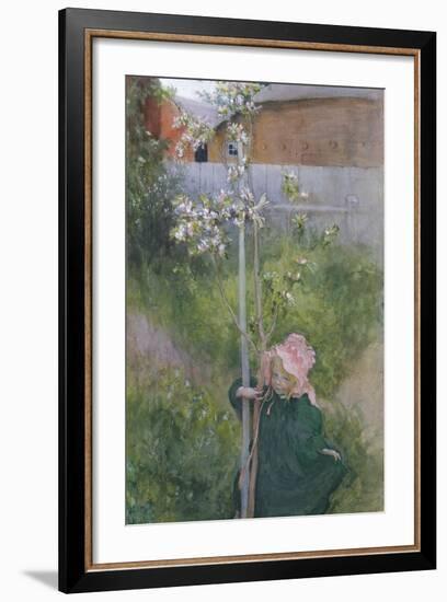 Apple Blossom (Appelblom), 1894-Carl Larsson-Framed Giclee Print