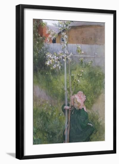 Apple Blossom (Appelblom), 1894-Carl Larsson-Framed Giclee Print