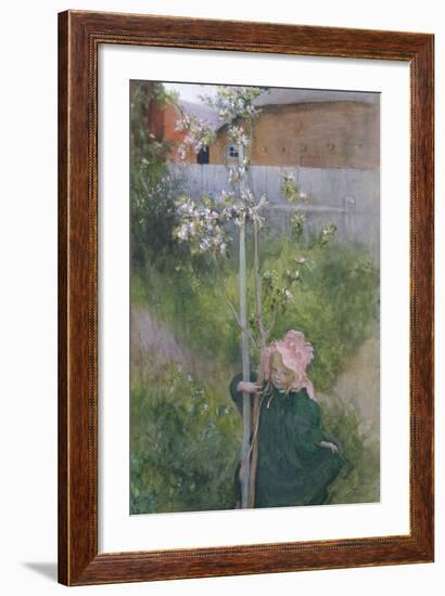 Apple Blossom (Appelblom), 1894-Carl Larsson-Framed Giclee Print