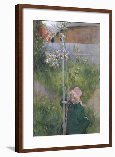 Apple Blossom (Appelblom), 1894-Carl Larsson-Framed Giclee Print