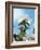 Apple Blossom on the Tree-Chris Schäfer-Framed Photographic Print