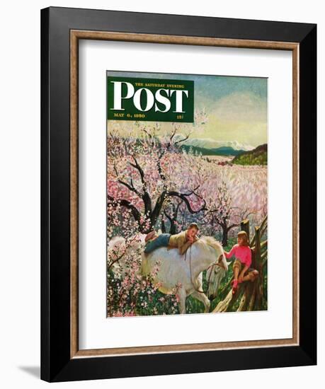 "Apple Blossom Time" Saturday Evening Post Cover, May 6, 1950-John Clymer-Framed Giclee Print