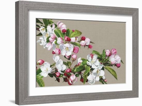 Apple Blossom-Sarah Caswell-Framed Giclee Print