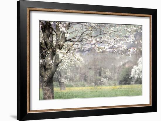 Apple Blossom-Kimberly Allen-Framed Art Print