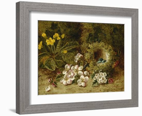 Apple Blossoms, a Primrose and Birds Nest on a Mossy Bank-Clare Oliver-Framed Giclee Print