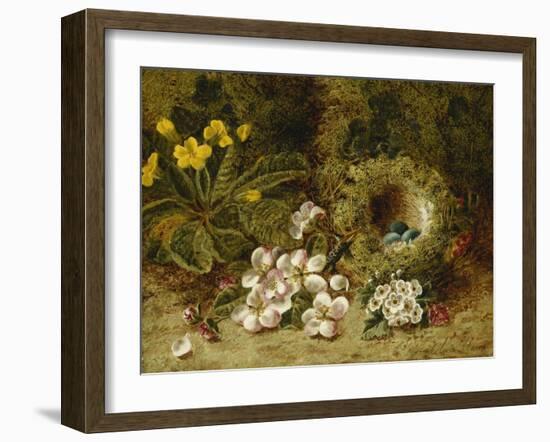 Apple Blossoms, a Primrose and Birds Nest on a Mossy Bank-Clare Oliver-Framed Giclee Print