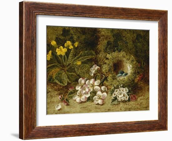 Apple Blossoms, a Primrose and Birds Nest on a Mossy Bank-Clare Oliver-Framed Giclee Print