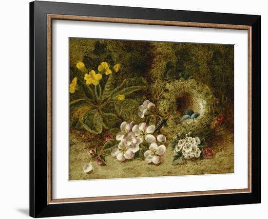 Apple Blossoms, a Primrose and Birds Nest on a Mossy Bank-Clare Oliver-Framed Giclee Print