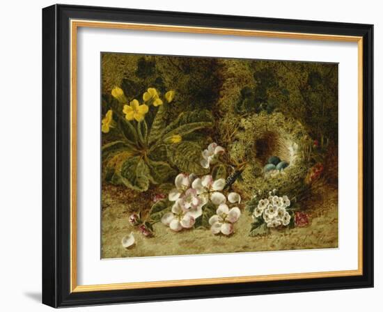 Apple Blossoms, a Primrose and Birds Nest on a Mossy Bank-Clare Oliver-Framed Giclee Print