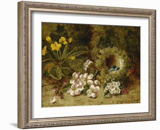 Apple Blossoms, a Primrose and Birds Nest on a Mossy Bank-Oliver Clare-Framed Giclee Print