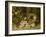 Apple Blossoms, a Primrose and Birds Nest on a Mossy Bank-Oliver Clare-Framed Giclee Print