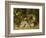 Apple Blossoms, a Primrose and Birds Nest on a Mossy Bank-Oliver Clare-Framed Giclee Print