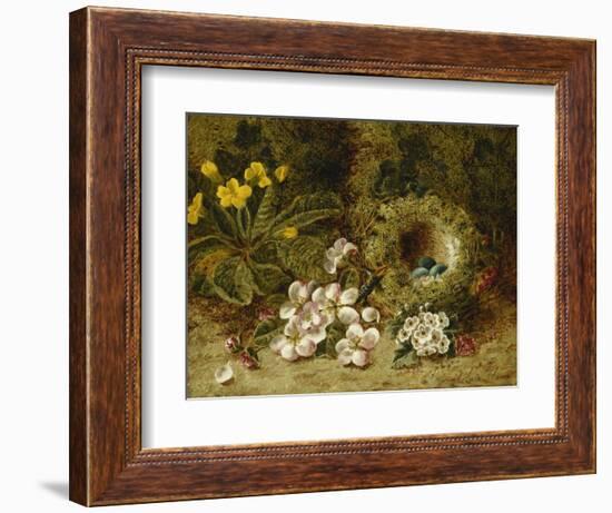 Apple Blossoms, a Primrose and Birds Nest on a Mossy Bank-Oliver Clare-Framed Giclee Print