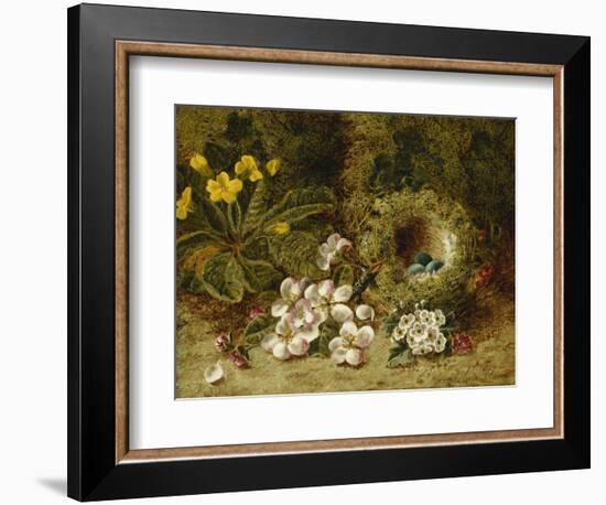 Apple Blossoms, a Primrose and Birds Nest on a Mossy Bank-Oliver Clare-Framed Giclee Print