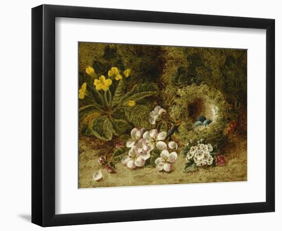 Apple Blossoms, a Primrose and Birds Nest on a Mossy Bank-Oliver Clare-Framed Giclee Print