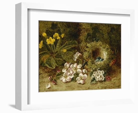 Apple Blossoms, a Primrose and Birds Nest on a Mossy Bank-Oliver Clare-Framed Giclee Print