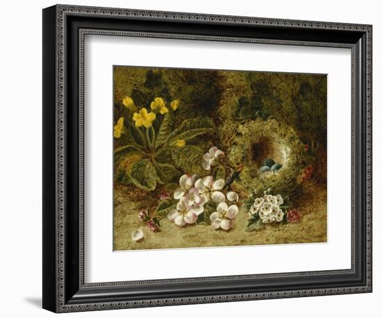 Apple Blossoms, a Primrose and Birds Nest on a Mossy Bank-Oliver Clare-Framed Giclee Print