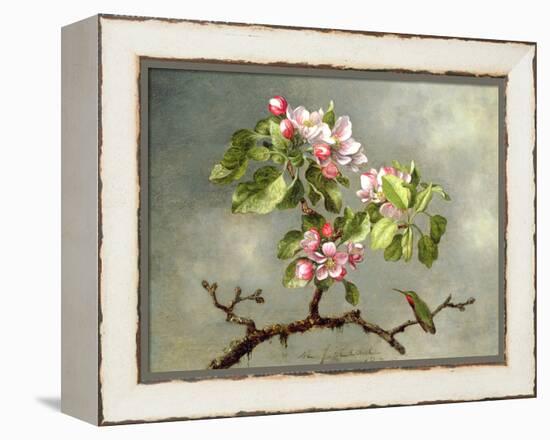 Apple Blossoms and a Hummingbird, 1875-Martin Johnson Heade-Framed Premier Image Canvas