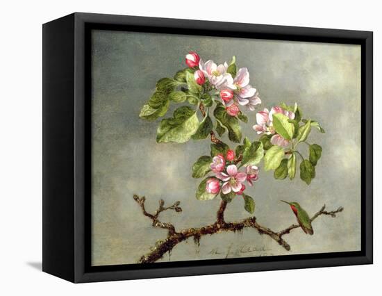 Apple Blossoms and a Hummingbird, 1875-Martin Johnson Heade-Framed Premier Image Canvas