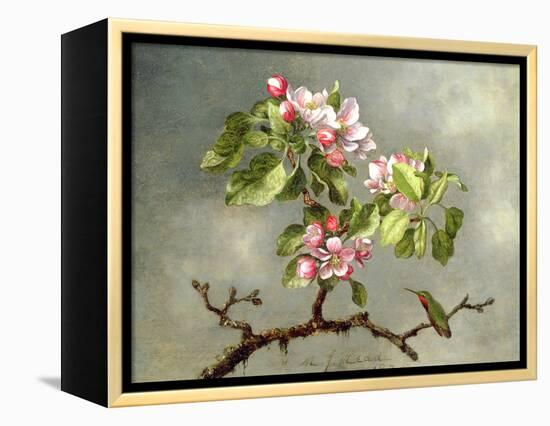 Apple Blossoms and a Hummingbird, 1875-Martin Johnson Heade-Framed Premier Image Canvas