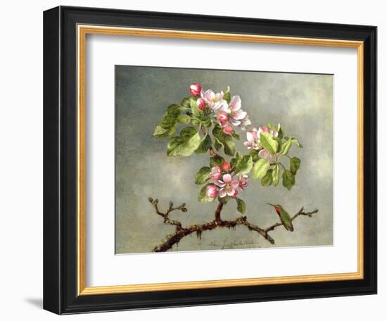 Apple Blossoms and a Hummingbird, 1875-Martin Johnson Heade-Framed Premium Giclee Print