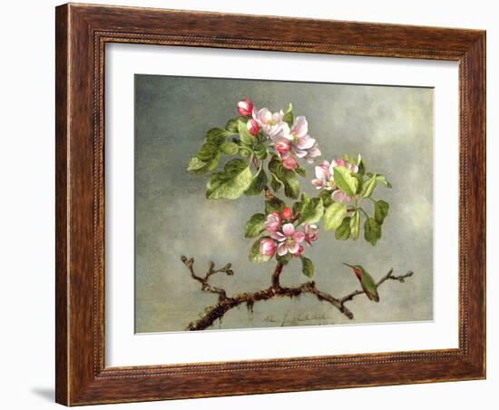 Apple Blossoms and a Hummingbird, 1875-Martin Johnson Heade-Framed Giclee Print