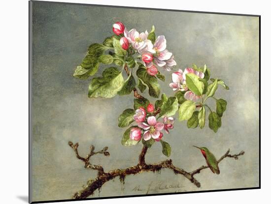 Apple Blossoms and a Hummingbird, 1875-Martin Johnson Heade-Mounted Giclee Print