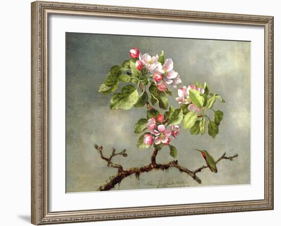 Apple Blossoms and a Hummingbird, 1875-Martin Johnson Heade-Framed Giclee Print